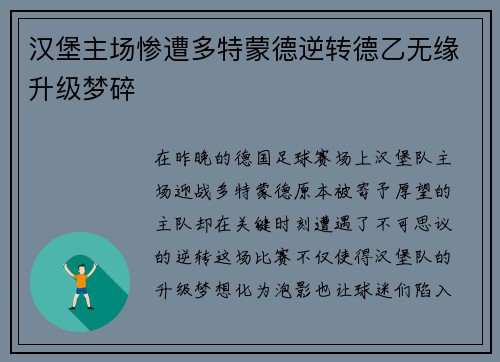 汉堡主场惨遭多特蒙德逆转德乙无缘升级梦碎